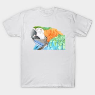 Harlequin hybird macaw watercolor - bird painting T-Shirt